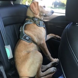 Meet your Posher, Stacey